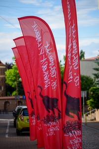 38. TNF - Dzień 3 (2.06.2024)