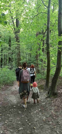 DKW: Spacer przyrodniczy z kąpielą leśną dla dzieci