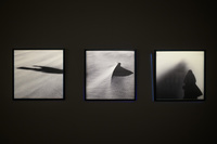 Wystawa: Rozważania nad istotą czasu