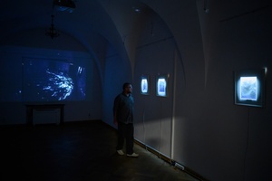 Wystawa: Tańcząc ze światłem - Publiczność wernisażu oglądająca fotografie.