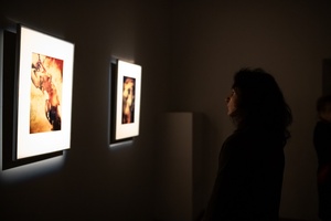 Wystawa: ON - Publiczność oglądająca fotografie na wystawie.