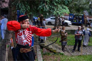 VI Dzień Hetmański - Piknik historyczny