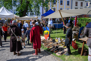 VI Dzień Hetmański - Piknik historyczny