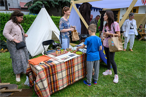 VI Dzień Hetmański - Piknik historyczny