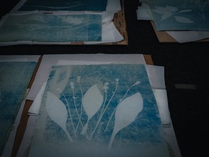 Wakacje z otwARTą: Warsztaty robienia zielników - Praca w pracowni - technika cyjanotypii.