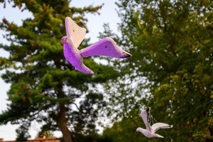 Szanty na Starówce - 24.08.2024 - Elementy marynistycznej scenografii towarzyszącej koncertom szantowym w 2024 r.