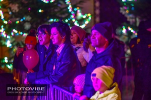 Koncert: 33. tarnowski finał WOŚP - Galeria II - Publiczność zgromadzona przed sceną