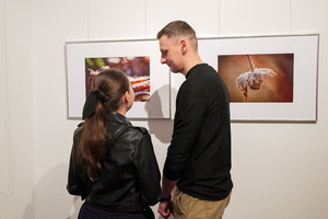 Wernisaże dzień po dniu: Gabriela Półkoszek / Ewa Serafińska - Publiczność oglądająca wystawę