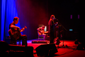 Koncert: Mikromusic Trio - Mikromusic na scenie kina Marzenie