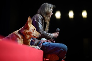 39. TNF: Dzień 3 (1.06.2025) - Na scenie kinowej Olga Chajdas z psem Nioki wsłuchująca się w pytania młodych widzów z sali po projekcji filmu "Dziadku, wiejemy!"