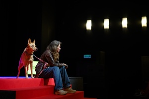 39. TNF: Dzień 3 (1.06.2025) - Na scenie kinowej Olga Chajdas z psem Nioki wsłuchująca się w pytania młodych widzów z sali po projekcji filmu "Dziadku, wiejemy!"