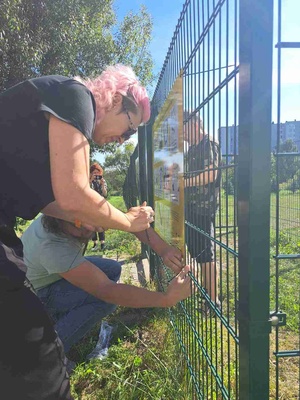 Tu rządzą psy - akcja społeczna - Zespół DKW podczas montażu tablic