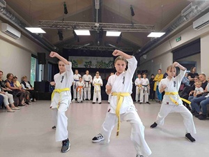 Piknik 13. Dzielnicy! - Pokaz karate w wykonaniu TKS Karate Tarnów