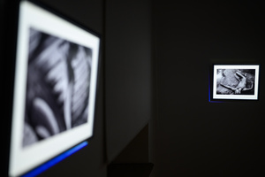 Wystawa: Fotografia Aktu