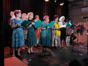 Koncert Zespołu STOLAT - Zespół podczas występu