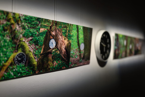 Wystawa: Rozważania nad istotą czasu - Fotografie na wystawie.
