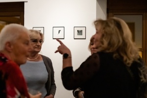 Wernisaże dzień po dniu: Dariusz Niedzieski „The Gallery. Stardust.”