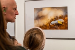 Wernisaże dzień po dniu: Marta Sysło-Miś „Bliżej baśni”