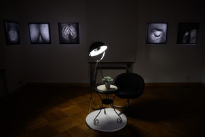 Fotografie na wystawie "BAJKI i inne historie"